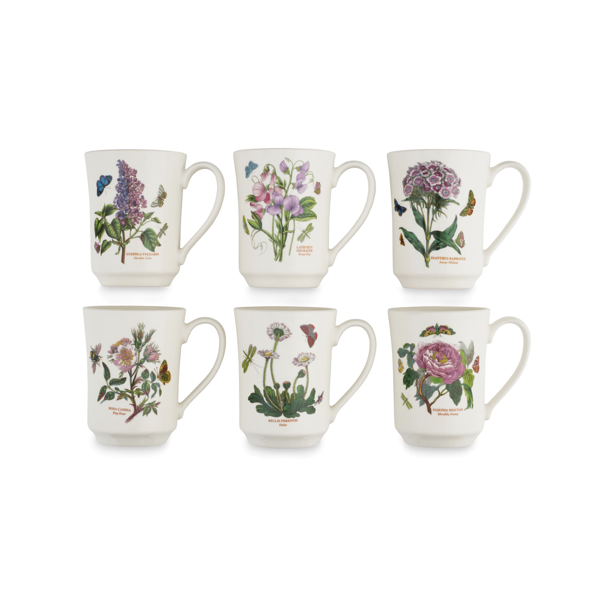 Botanic Garden 14 Ounce Flared Tankard Mug Set of 6 (Assorted Motifs) image number null